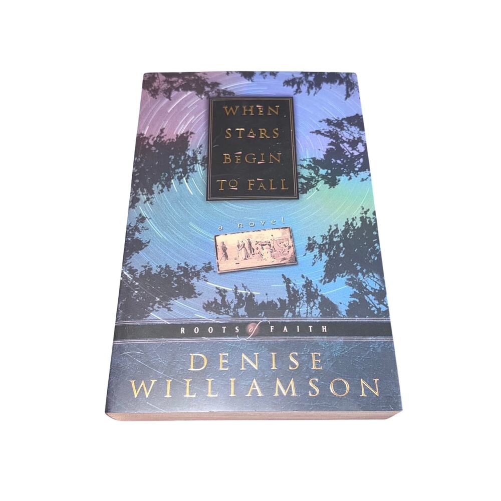 When Stars Begin To Fall Roots Of Faith Book 2 Denise Williamson Christian